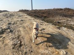 -凤凰路何眼镜香辣蟹(花果园店)