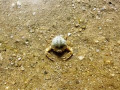 -红树林天天赶海