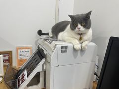-云城照相馆(龙湖雨山天街店)
