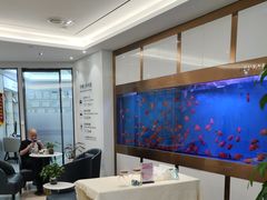 -牙博士口腔品牌连锁(杨浦店)