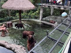 -深圳野生动物园