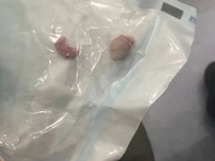 -伟伟宠物医院·CT影像中心·瑞派犬猫综合性门诊(汉口总院)