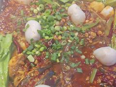 -鱼酷活鱼烤鱼(沈阳大悦城店)