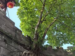-涞滩古镇