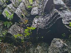 -梭布垭石林景区