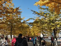 -辽东学院(南校区)