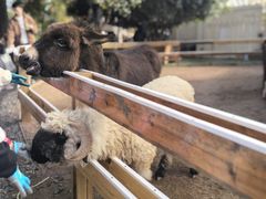 -HERRE·FARM 赫尔露营农场·团建聚会包场