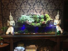 -域SPA·足疗·按摩·养生(静安寺店)