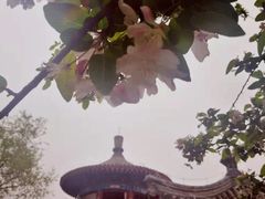 -大钟寺古钟博物馆