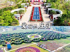 -美的鹭湖森林度假区