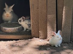 -杭州香格里拉·香宫中餐厅