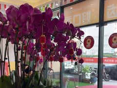 -土豆口腔(凤凰北总店)