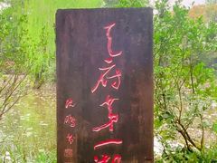 -桂湖森林公园