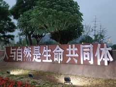 -桂溪生态公园