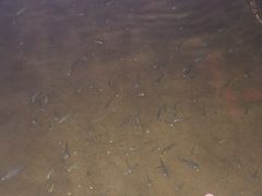-宝丽金大酒店·洗浴中心