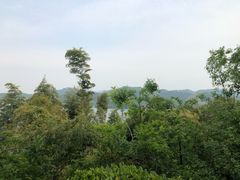 -天目湖涵田半山温泉