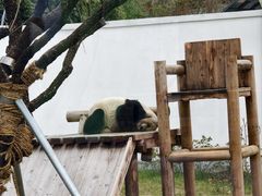-无锡动物园·太湖欢乐园