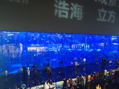 -成都浩海立方海洋公园