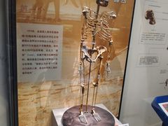 -天津自然博物馆