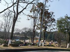 -铁山坪森林公园