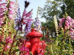 -深圳国际园林花卉博览园