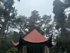 -庐山风景区花径公园