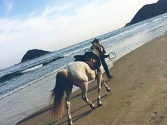 -西涌国际滨海旅游区