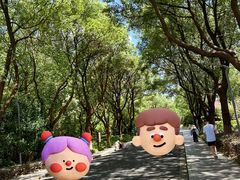 -昆山城市生态森林公园