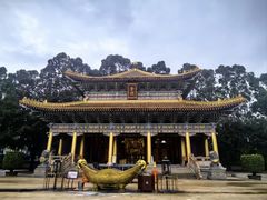 -广东圆玄道观