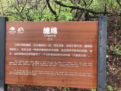 -沂蒙山旅游区云蒙景区(蒙山国家森林公园)