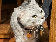 -H立方实景剧情密室(天河旗舰店)