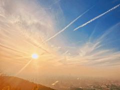 -杭州半山国家森林公园