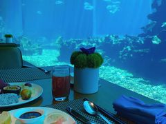-涛·海底餐厅·美人鱼·自助餐·海底隧道(三亚海棠湾洲际度假酒店)
