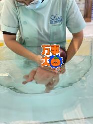 点击看大图 -安雅国际月子会所(拱北森宇富通店)