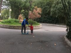 -晓港公园