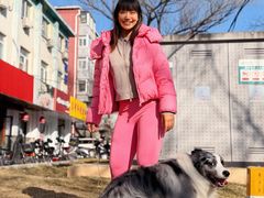 -美联众合动物医院·24h京西诊疗中心