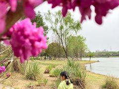 -长广溪湿地公园