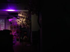 -樱花里音乐餐吧·牛扒椰子鸡(东圃店)