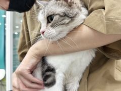 -爱洗澡的猫(天河路店)