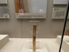 -中国扇博物馆