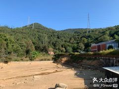 -泉州海丝野生动物世界