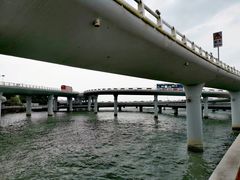 -演武大桥观景平台