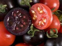 -江杨农产品批发市场