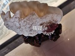 -青岛贝壳博物馆