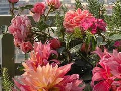 -楚鲜·汉正街一号(天河店)