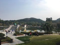 -大屏嶂森林公园
