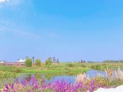 -洪湖湿地生态园