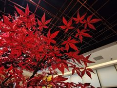 -禾珍珠家常小馆(河南博物院店)