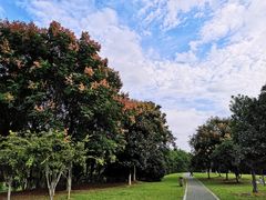 -钟山体育运动公园
