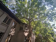 -湖北省美术院美术馆